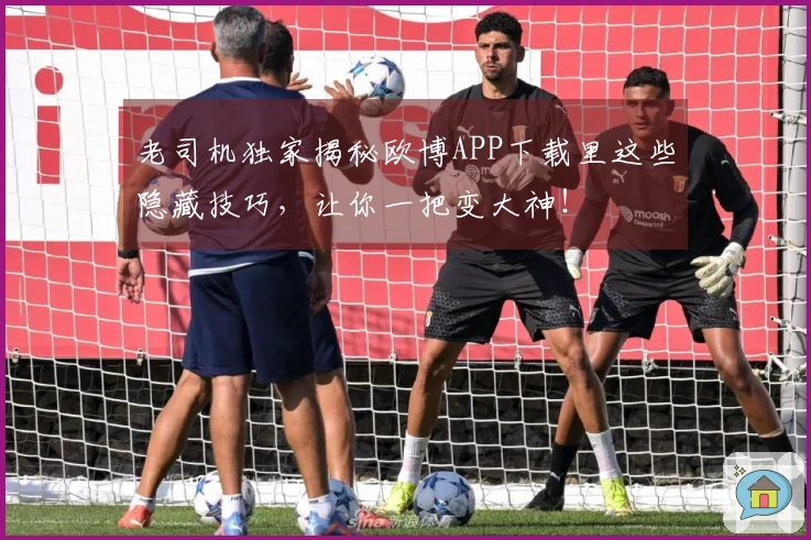 老司机独家揭秘欧博APP下载里这些隐藏技巧，让你一把变大神！